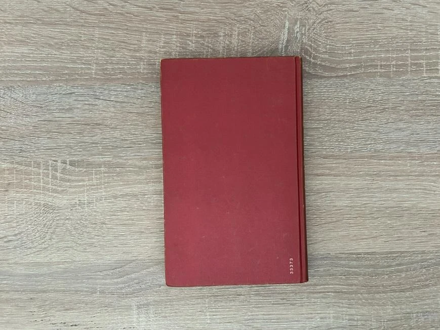 Boek Echtscheiding voor een gebroken maagd - Ángel Palomino (Hardcover) – photo 2
